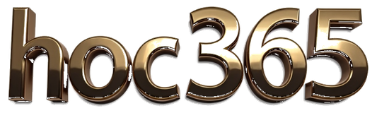 hoc365 logo